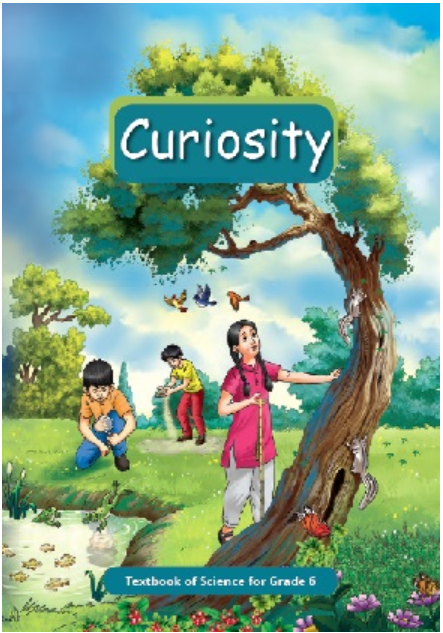 NCERT Curiosity (Science) - Class 6 - latest edition as per NCERT/CBSE - Booksfy