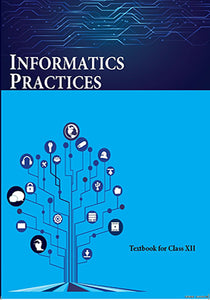 NCERT Information Practice for class 12- latest edition as per NCERT/CBSE