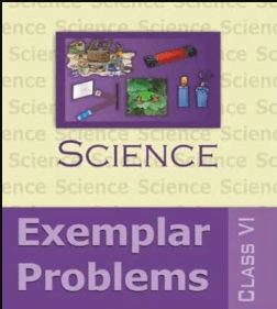 NCERT Exemplar Problems Science for Class 6 - latest edition as per NCERT/CBSE
