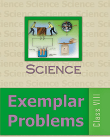 NCERT Exemplar Problems Science for Class 8 - latest edition as per NCERT/CBSE - Booksfy