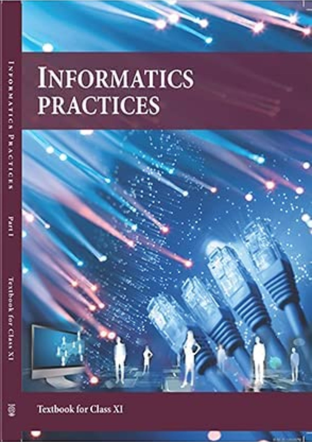 NCERT Informatics Practices for Class 11 - latest edition as per NCERT/CBSE - Booksfy