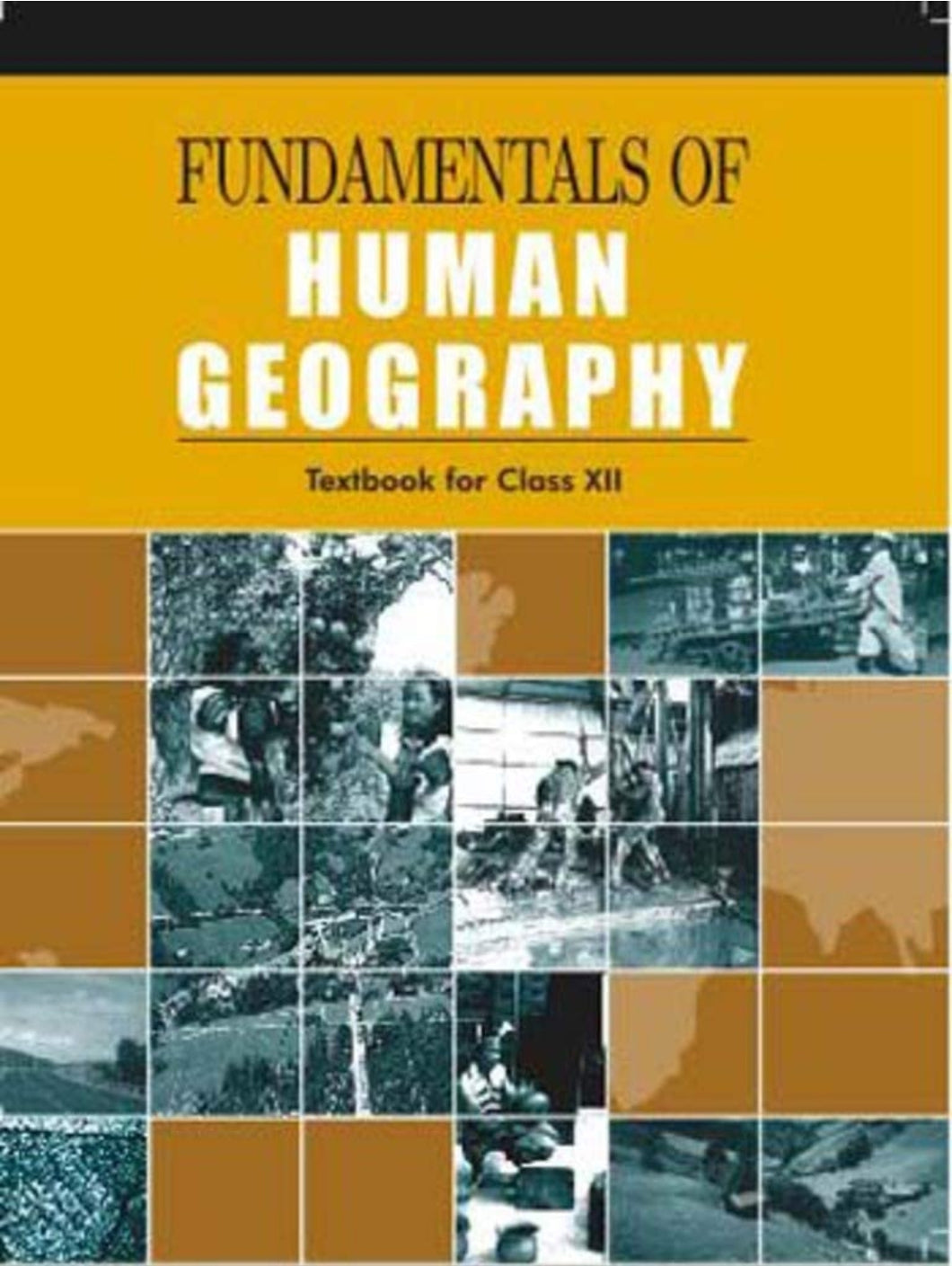 NCERT Fundamentals of Human Geography for Class 12 - latest edition as per NCERT/CBSE - Booksfy